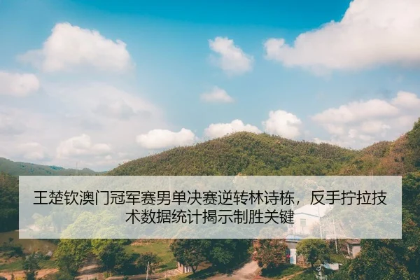 王楚钦澳门冠军赛男单决赛逆转林诗栋，反手拧拉技术数据统计揭示制胜关键