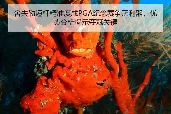 she-fu-lei-duan-gan-jing-zhun-du-cheng-ji-nian-sai-zheng-guan-li-qi-you-shi-fen-xi-jie-shi-duo-guan-guan-jian-2-427.jpg