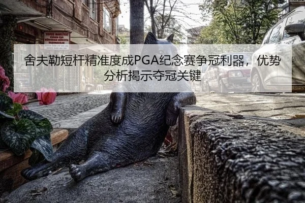 she-fu-lei-duan-gan-jing-zhun-du-cheng-ji-nian-sai-zheng-guan-li-qi-you-shi-fen-xi-jie-shi-duo-guan-guan-jian-3-110.jpg