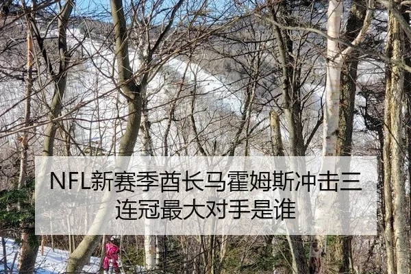 xin-sai-ji-qiu-zhang-ma-huo-mu-si-chong-ji-san-lian-guan-zui-da-dui-shou-shi-shui-2-494.jpg